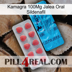 Kamagra 100Mg Oral Jelly Sildenafil new14